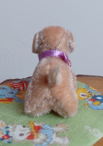 Tokotoko Bear / �ڥߥ˥�󥳭���