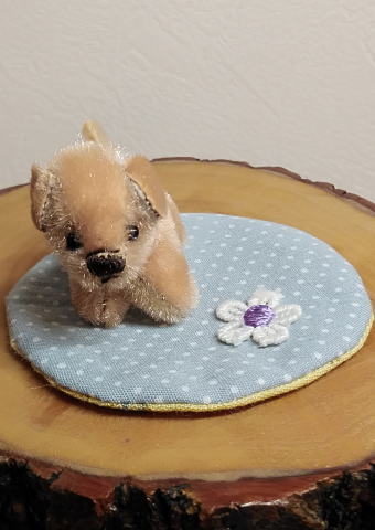 Tokotoko Bear / �ڥߥ˥�󥳭���