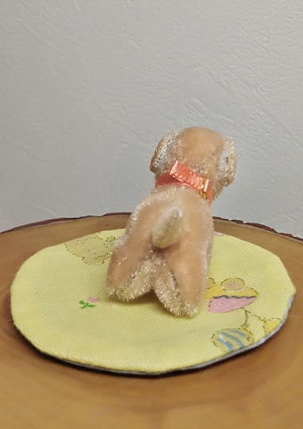 Tokotoko Bear / �ڥߥ˥�󥳭���