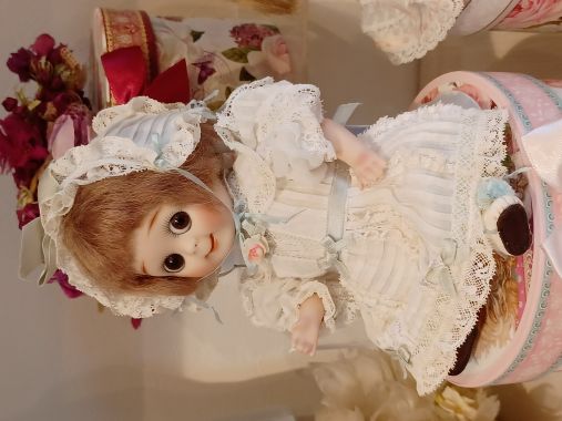 ����ƥ����� ���������� / ��JDK221 �������꡼����