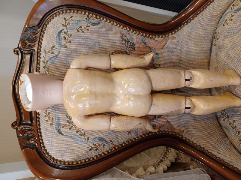 ����ƥ����� �ե����ɡ��� J. STEINER��/���������ʡ��ե����㡼A  15�桡���ƥ͡���