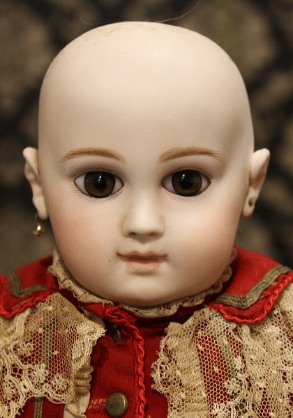 ����ƥ����� �ե����ɡ��롡JUMEAU EJ 6��/ ����⡼EJ 6�桡