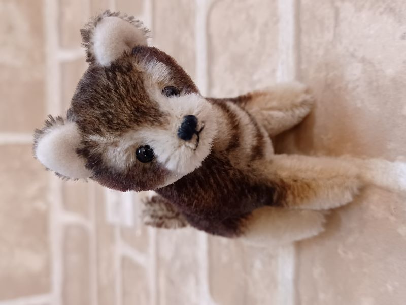 Miki Bears/ �ڹ�Ʀ�ơʥ������ˡ�