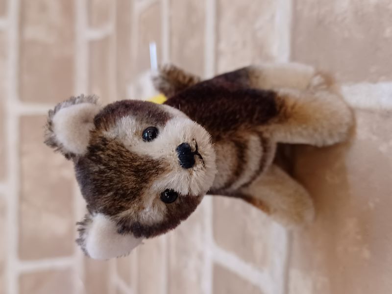 Miki Bears/ �ڹ�Ʀ�ơʥ������ˡ�