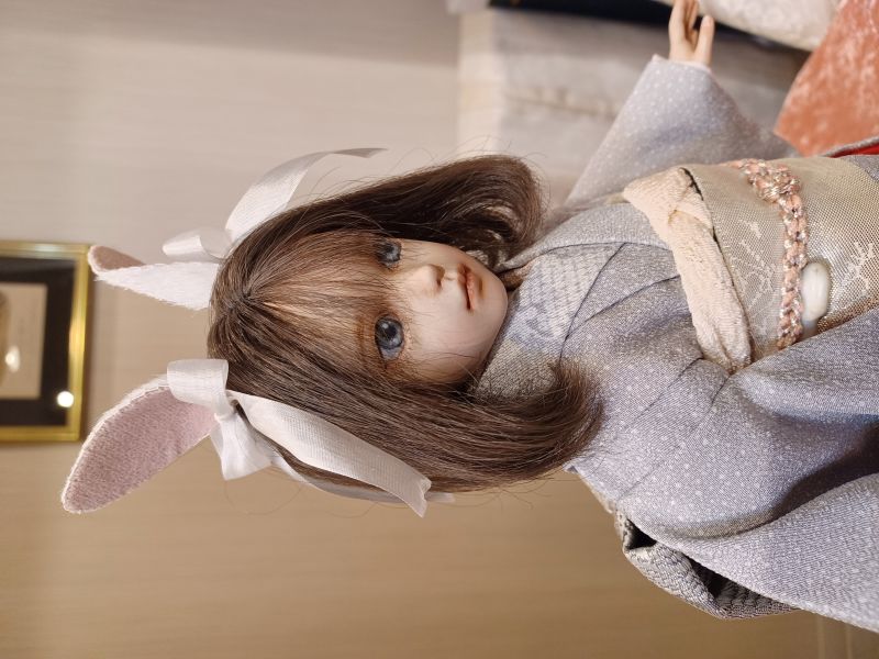 �ֿ������ / ���㤦�����Τ錄�椭��