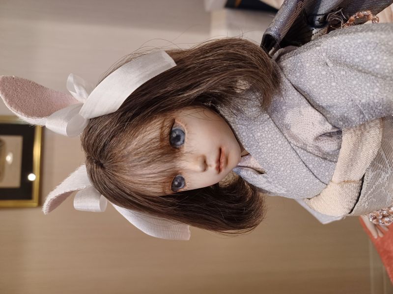 �ֿ������ / ���㤦�����Τ錄�椭��