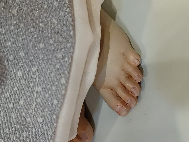 �ֿ������ / ���㤦�����Τ錄�椭��