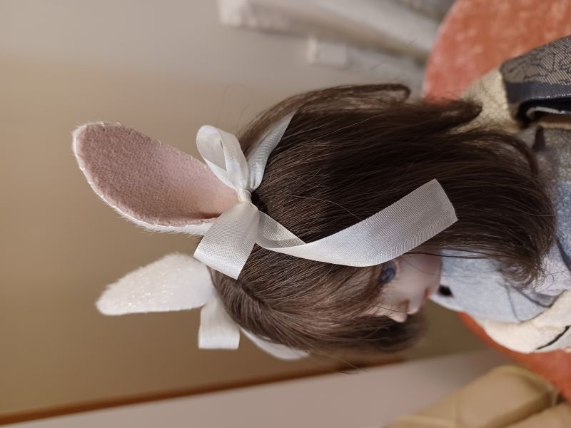 �ֿ������ / ���㤦�����Τ錄�椭��