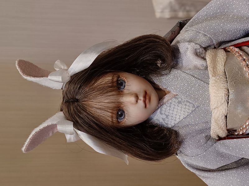 �ֿ������ / ���㤦�����Τ錄�椭��