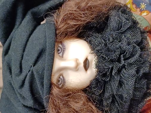 �ڽ�� / �ڷ��