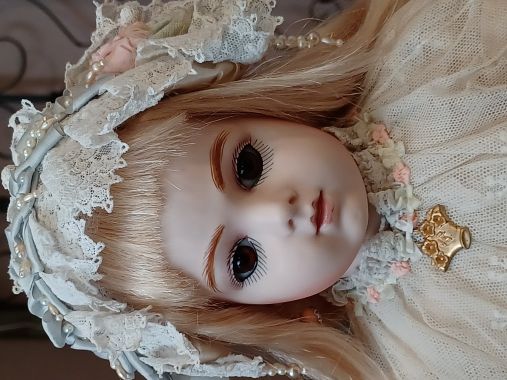 ��¼ ��Һ�/�ڥ֥��FB14��