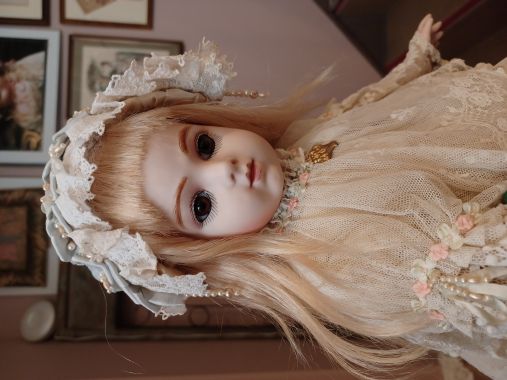 ��¼ ��Һ�/�ڥ֥��FB14��