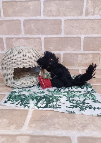 N14th-street / �ڡ�Ĺ����Ϥ���ǭ�������ΤҤȻ���