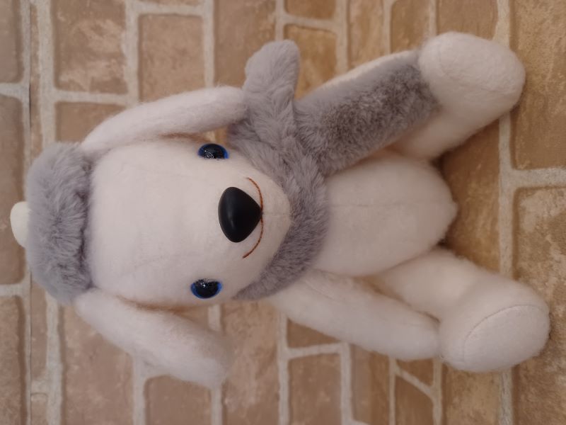 ���Τ��ޤ���/�ڥ�å��������