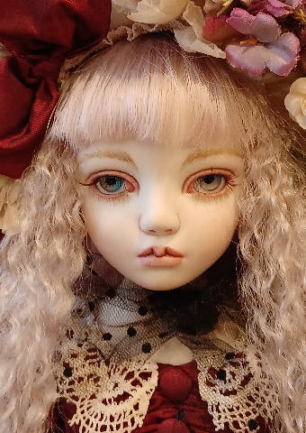 �����ڻ��� �� /  �磻���åɥɥ쥹�ν��λ�