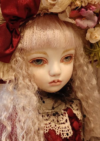 �����ڻ��� �� /  �磻���åɥɥ쥹�ν��λ�