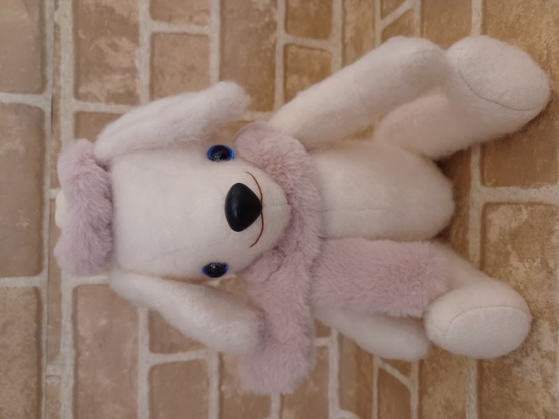 ���Τ��ޤ���/�ڥϥåԡ�������