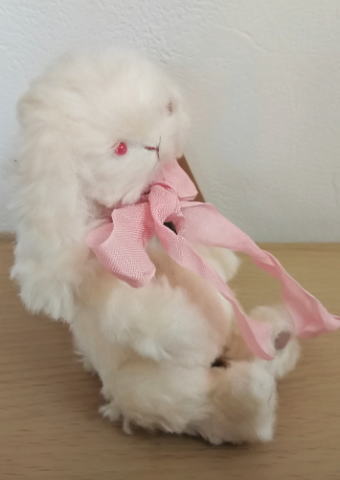 Mugikuma / ���򤤤�������