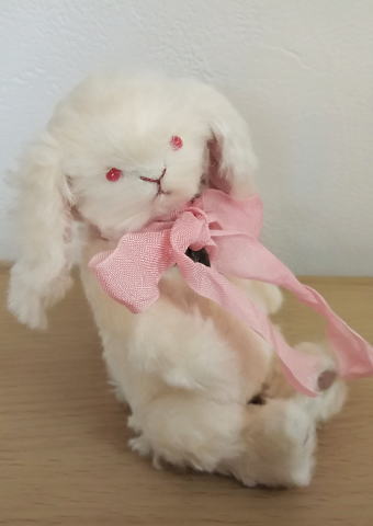 Mugikuma / ���򤤤�������