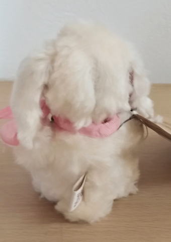 Mugikuma / ���򤤤�������