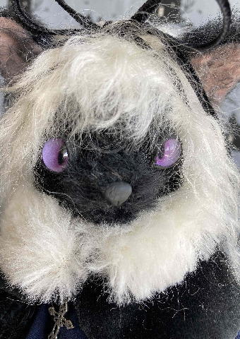 �����������񢡥ƥǥ��٥��� ��19�ϳ��ŤΤ��Τ餻��Catnap Bear ����