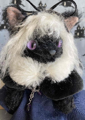 �����������񢡥ƥǥ��٥��� ��19�ϳ��ŤΤ��Τ餻��Catnap Bear ����