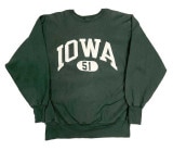 90's CHAMPION チャンピオン REVERSE WEAVE　カプセル　ひび割れプリント　IOWA　GREEN　刺繍タグ size X-LARGE　リバースウィーブ　スウェット 【VINTAG