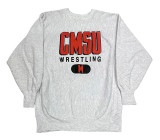 90's CHAMPION チャンピオン REVERSE WEAVE SWEAT　カプセル プリント　HEATHER GREY　size XX-LARGE　リバースウィーブ【USED ユーズド】【中古