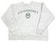 80'sChampion ԥDOUBLE FACE REVERSE WEAVE CREW NECK SWEAT SHIRTS ֥ե С 롼ͥå å ġGRAY 졼ȥꥳsize:XX-LARGEMADE IN U.S.A. ꥫBIG SIZEVINTAGE ơۡš