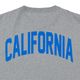Champion for STANDARD CALIFORNIA �����ԥ��� ����������ɥ���ե���˥���SD Exclusive T1011 ���������롼���֡�Ⱦµ��T����ġ�3��(GRAY/BLACK/WHITE)��Ⱦµ��2026SS