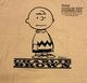 �ڤ�1����1���¤��WAREHOUSE �� PEANUTS���������ϥ��� �� �ԡ��ʥåġ�I NEED THE FRIENDS TEE�����㡼�꡼�֥饦�� T����ġ�3����CAFE AU LAIT/RED/YELLOW��Ⱦµ����������2026SS