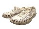 KEEN ������UNEEK����ˡ�����������롡WHITE CAP/CORNSTALK�����ݡ��ĥ�����롡�����ȥɥ���LADYS ��ǥ�����