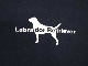 Labrador Retriever ��֥�ɡ����ȥ꡼�С�����������T����� 2���ʥۥ磻��/�֥�å�)��Made in Japan