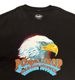 MASSES  PORKCHOP GARAGE SUPPLYޥߥݡå 졼ץ饤T-SHIRT EAGLE TġȾµ2(BLACK/WHITE)2025SS