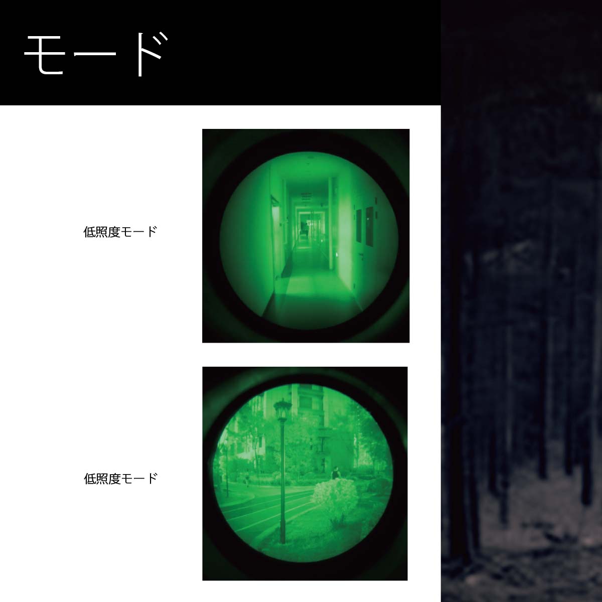 TIME д㼰ʥȥӥ󥴡 TNW-B2-Gʥ᡼ɡGreen ʤϤ䤤碌