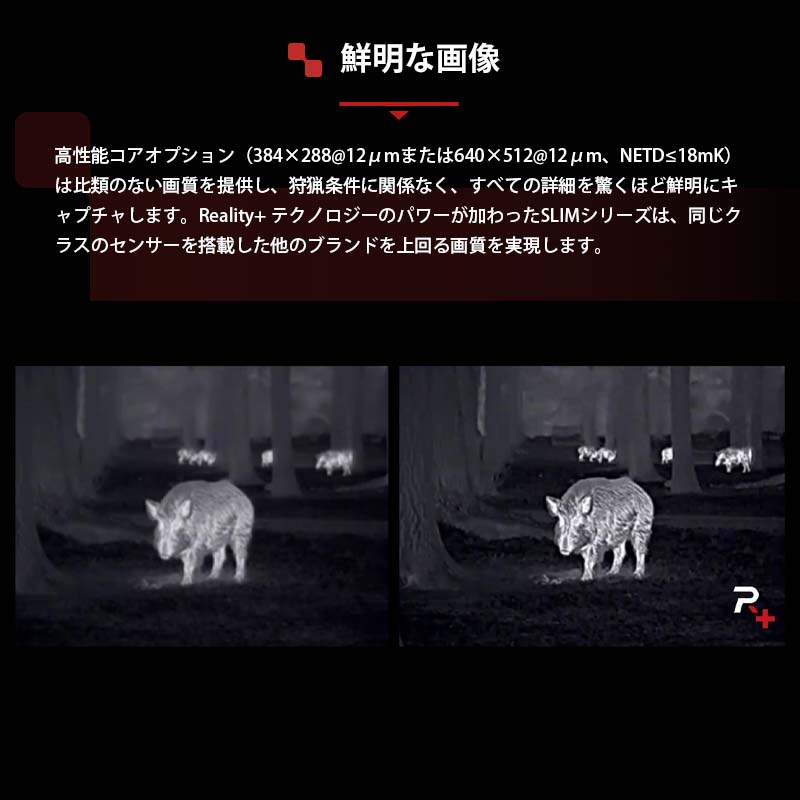 NOCPIX ޥ륤᡼󥰥饤ե륹 SLIM꡼ L35