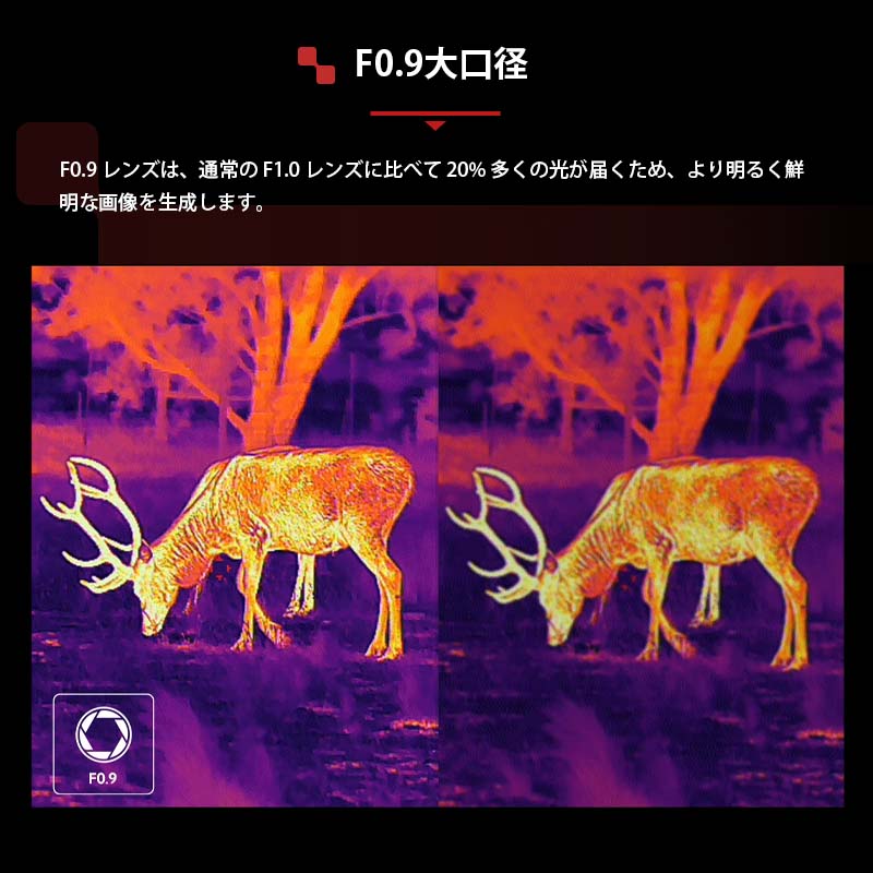 NOCPIX ޥ륤᡼ñ LUMI LRF꡼ H35R