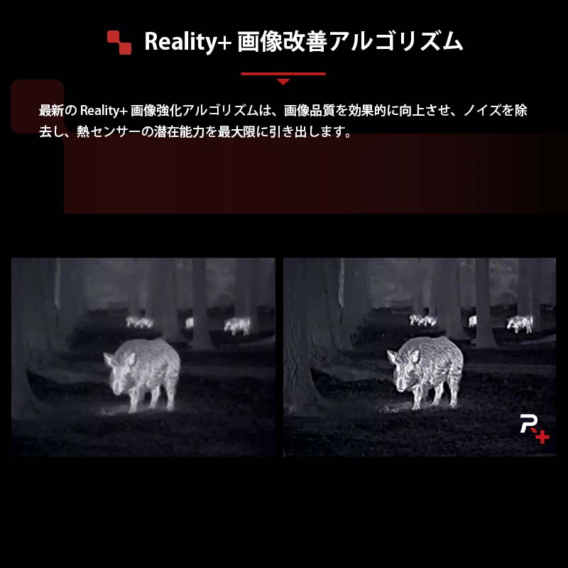 NOCPIX ޥ륤᡼ñ LUMI LRF꡼ H35R