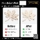XTOOL ̩�ķ��졼����Ħ�ﵡ S1 40W Basic�ǡʥۥ磻�ȡˡ�����+������������+�ϥ˥���ѥͥ��