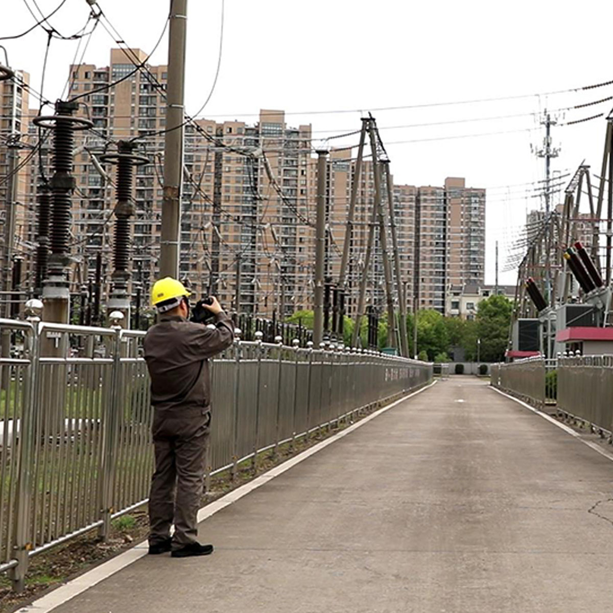 DALI ��̩Ǯ��������� DL800