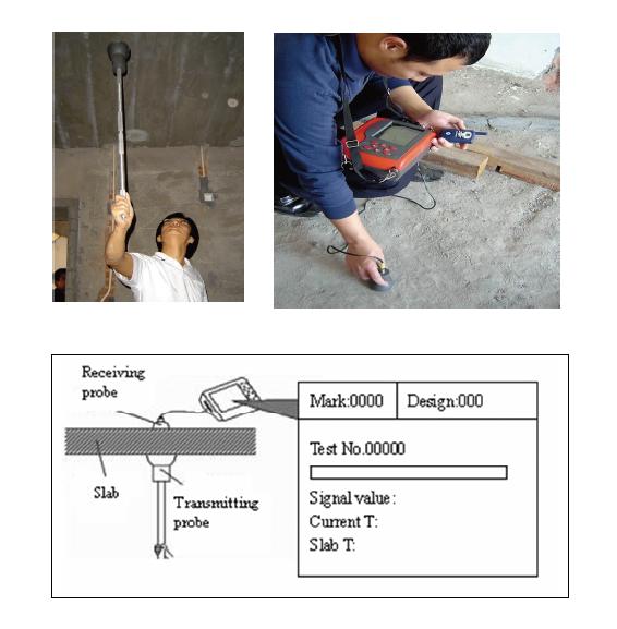 TIME 󥯥꡼ȸ TC300