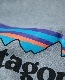 PATAGONIA �ѥ����˥� PULLOVER SWEAT PARKA LOGO MODEL (GRAY)