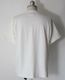 COLIMBO ������ LOMPOC POCKET TEE (SHELL WHITE)