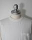 COLIMBO ������ LOMPOC POCKET TEE (SHELL WHITE)