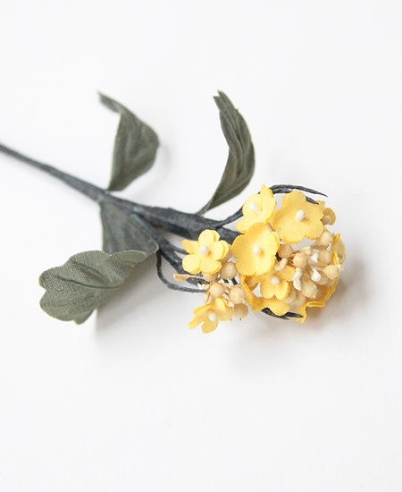 muuc �ࡼ�����ڤβ֥֥�����