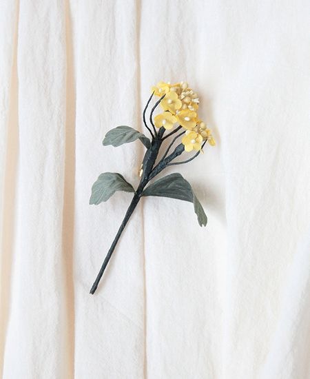 muuc �ࡼ�����ڤβ֥֥�����