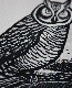 FREEWHEELERS ե꡼ۥ顼 COMPANY PROMOTION SERIES " BUBO " TOTE BAG