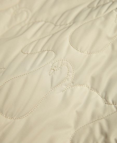 STASTNY SU ������㥹�ȥˡ�������swanlake �����쥤�������㥱�å�