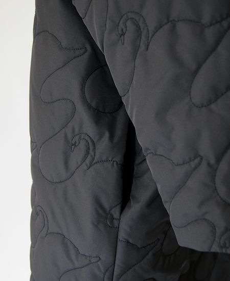 STASTNY SU ������㥹�ȥˡ�������swanlake �����쥤����������