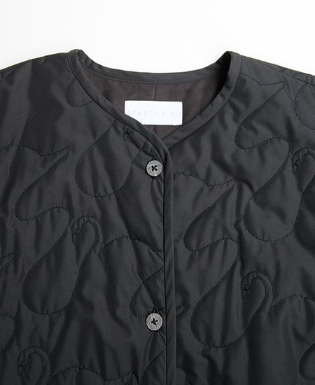 STASTNY SU ������㥹�ȥˡ�������swanlake �����쥤����������